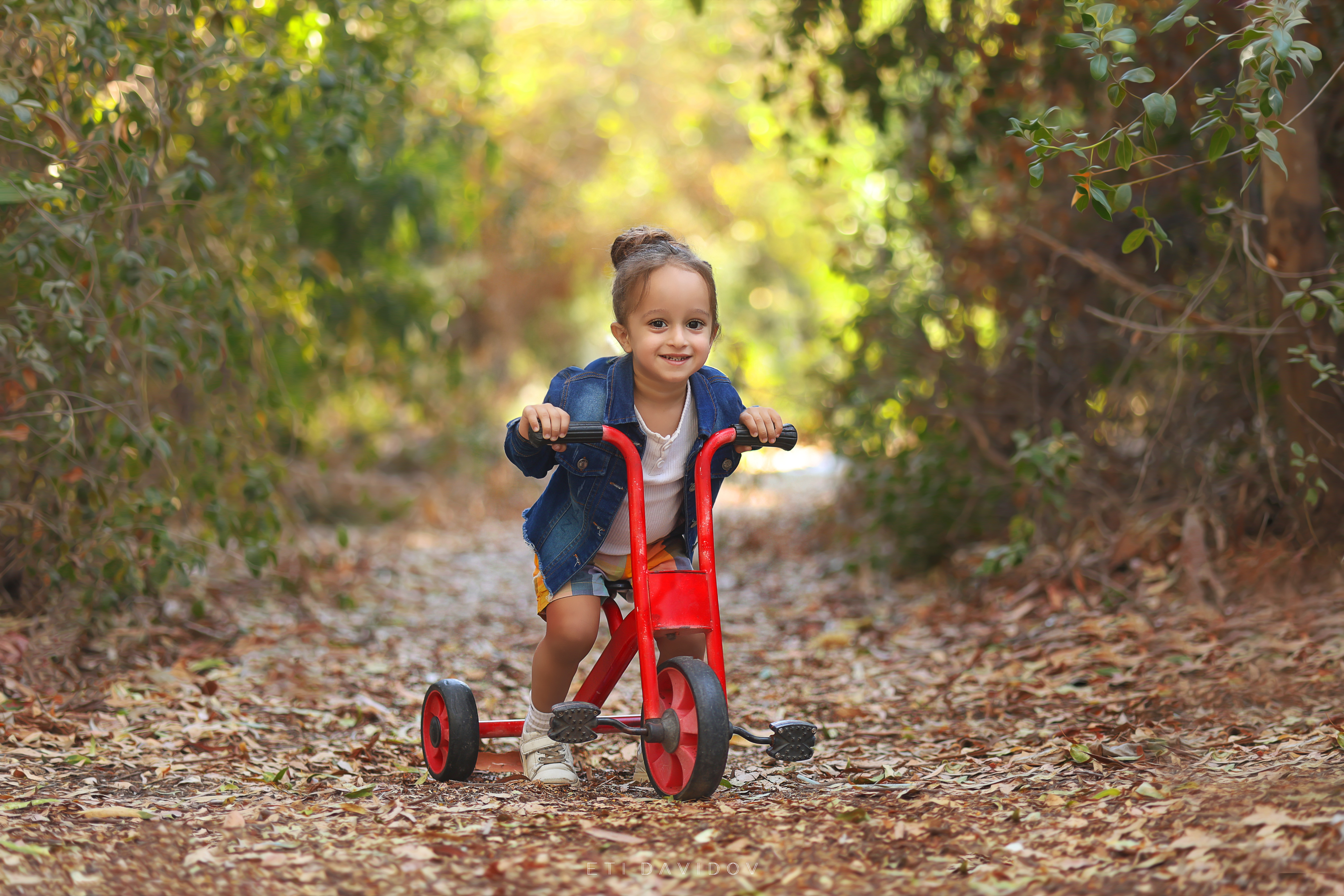 אתי דוידוב 0533188737 (29).png