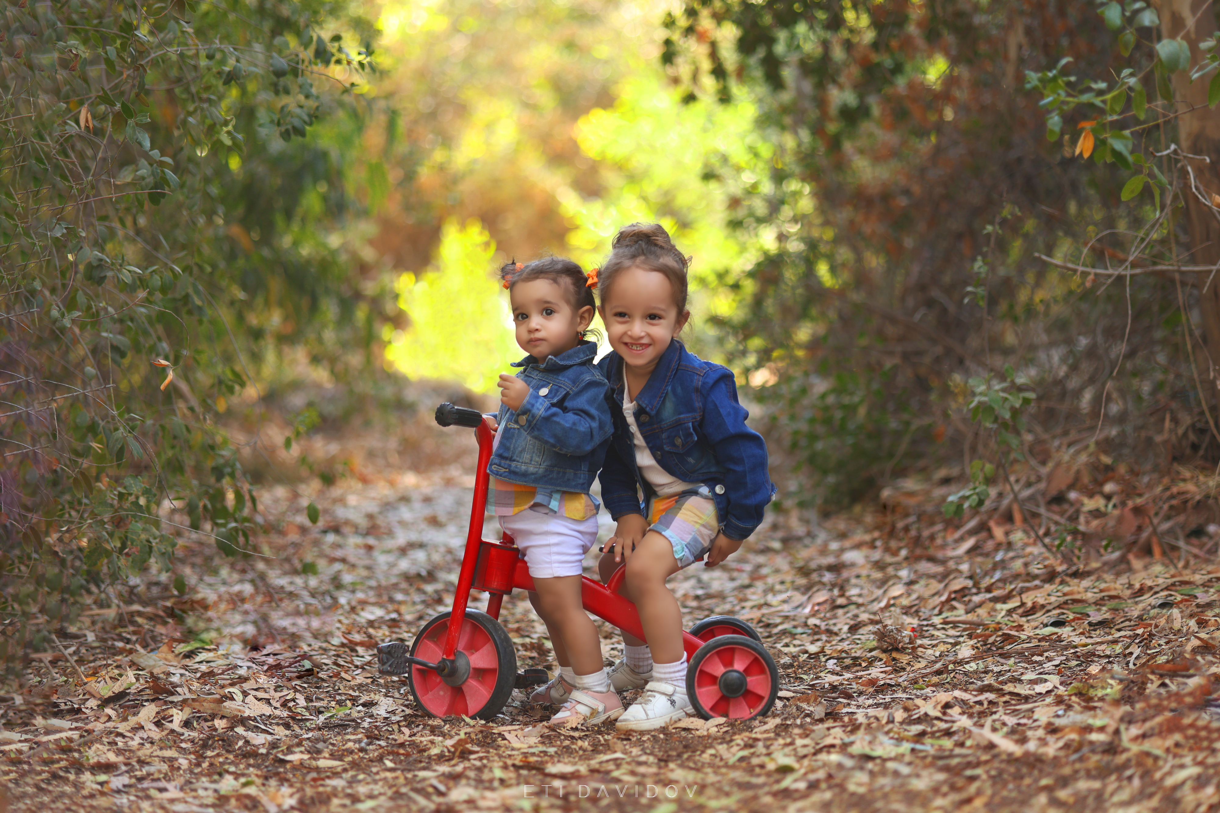 אתי דוידוב 0533188737 (30).png