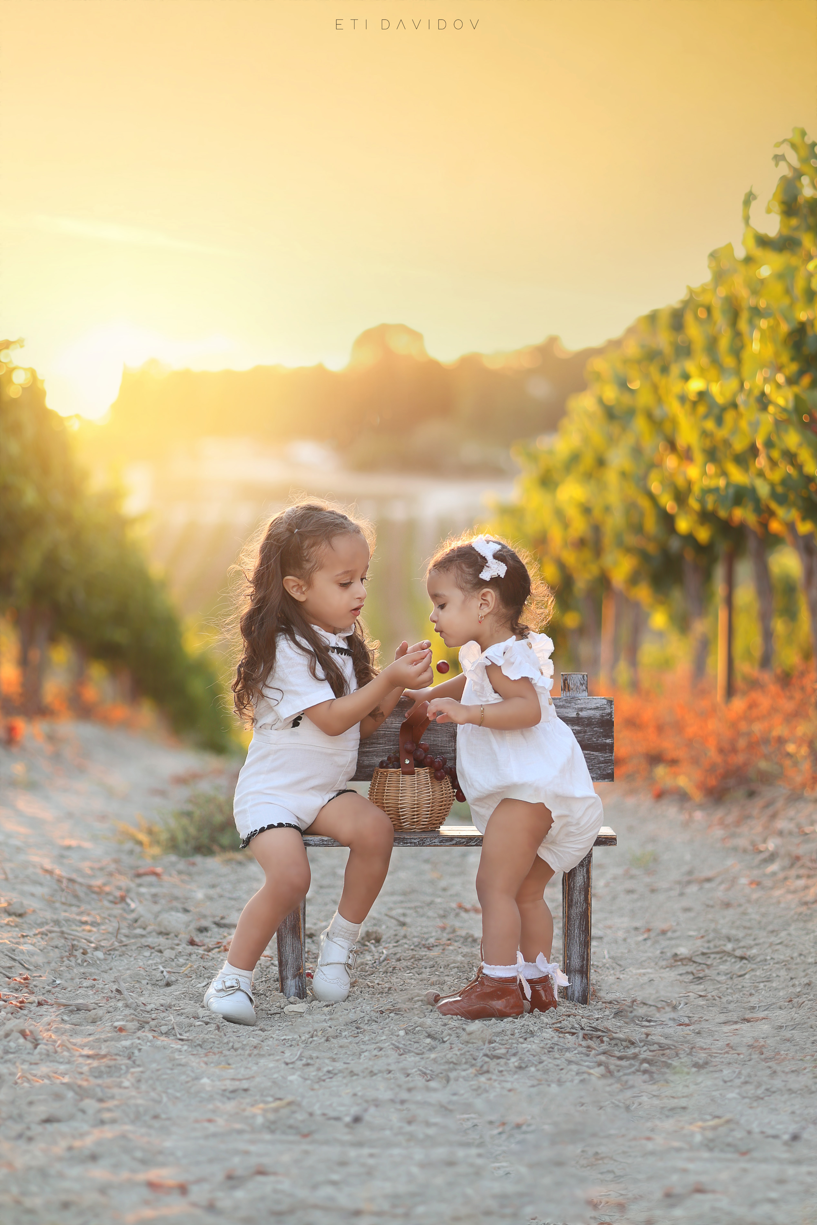 אתי דוידוב 0533188737 (40).png