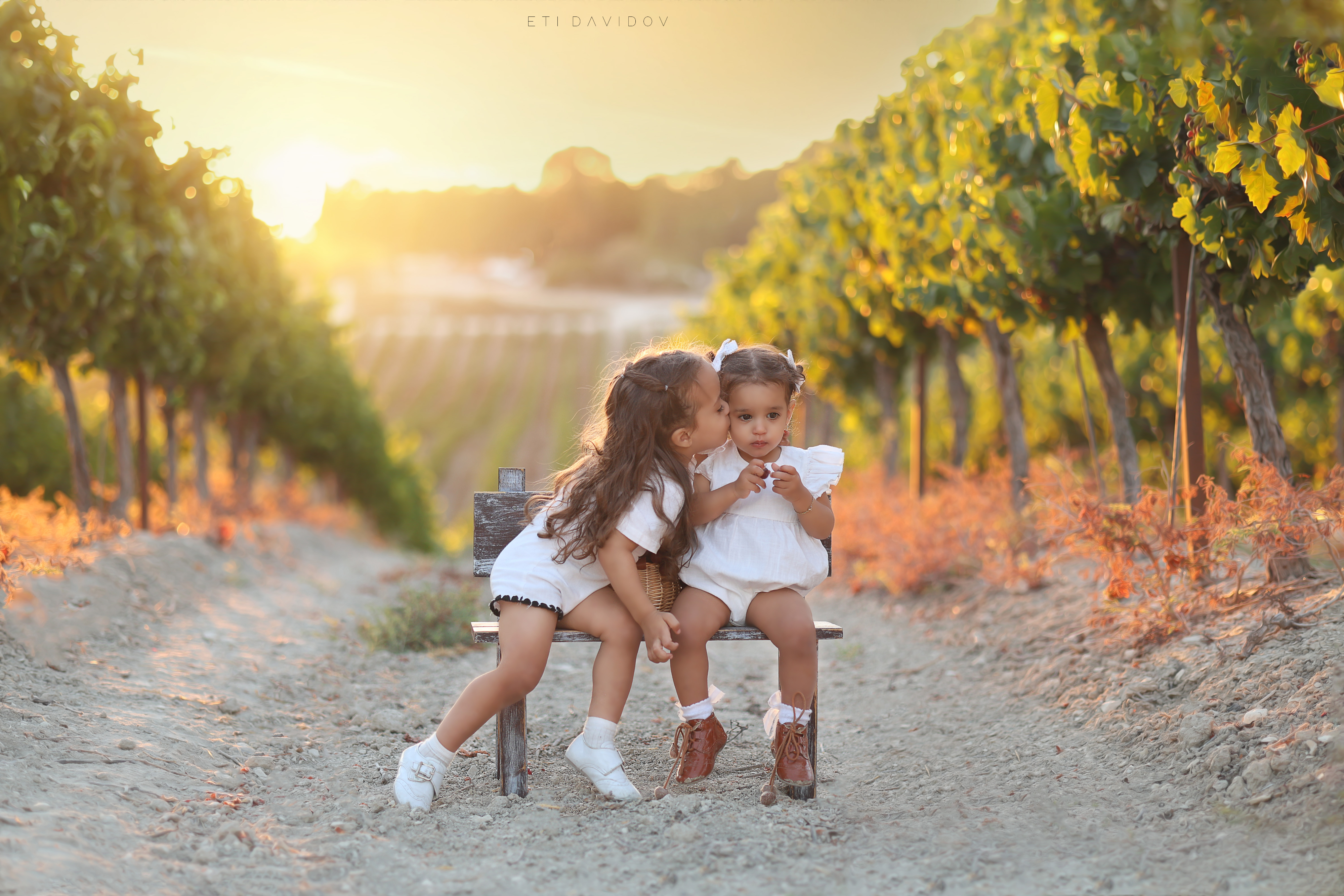 אתי דוידוב 0533188737 (41).png