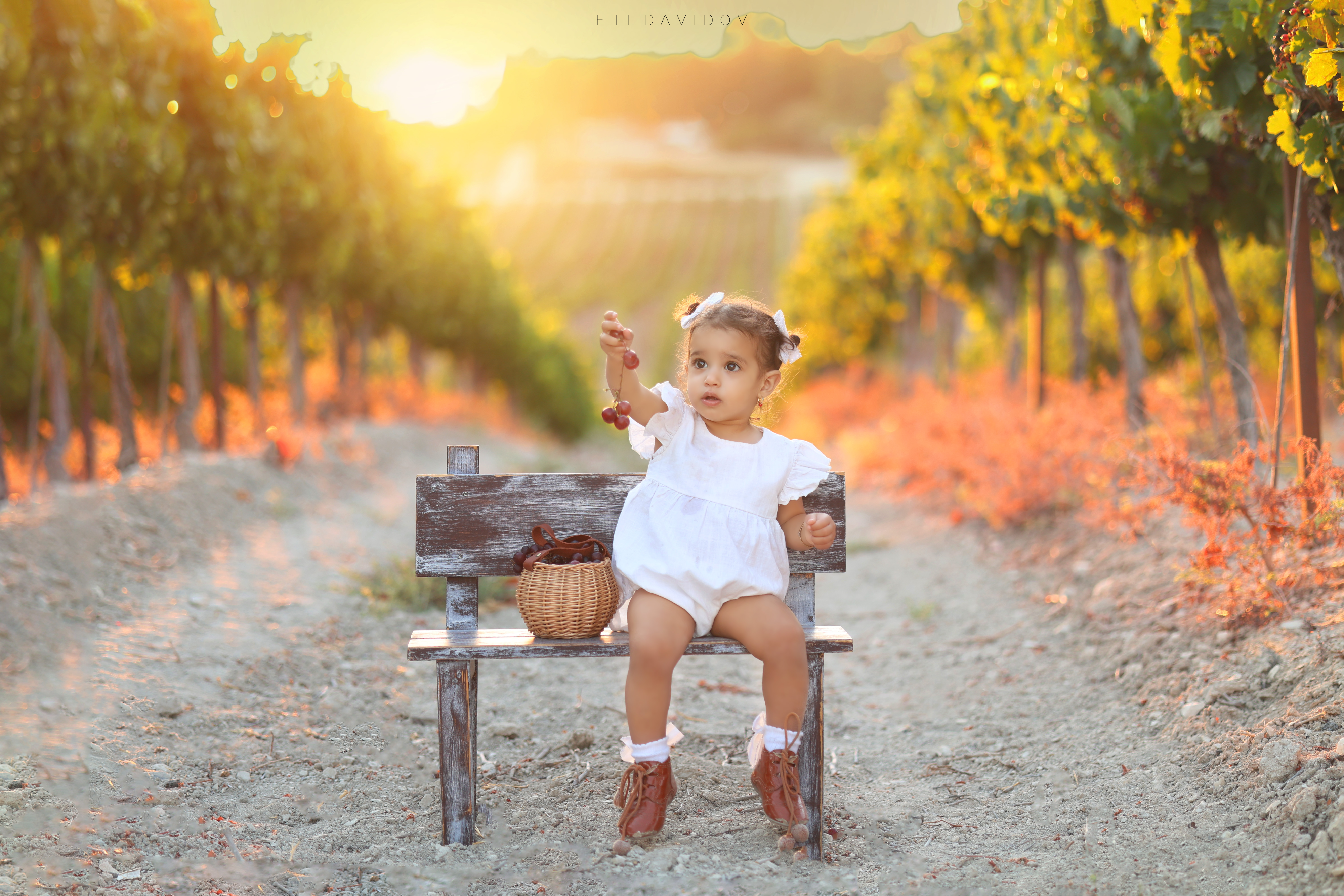 אתי דוידוב 0533188737 (42).png