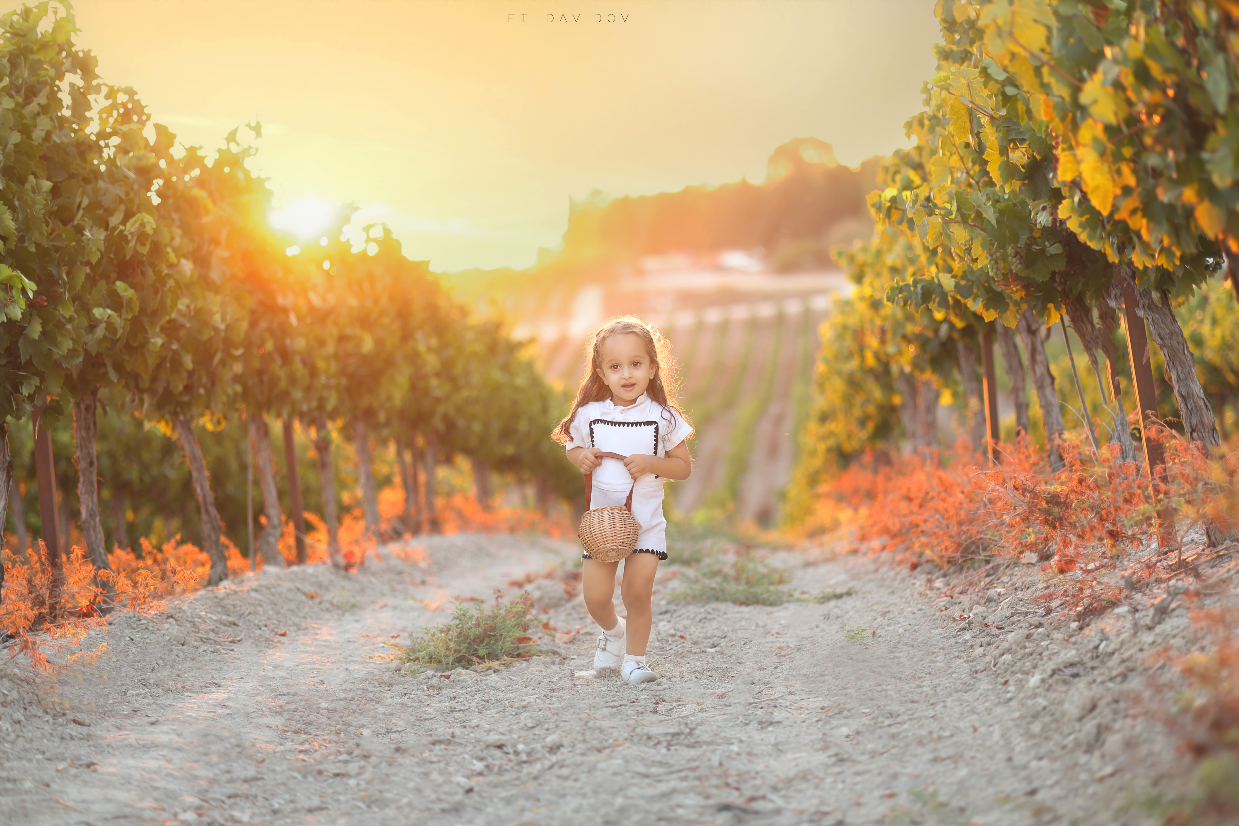 אתי דוידוב 0533188737 (43).png