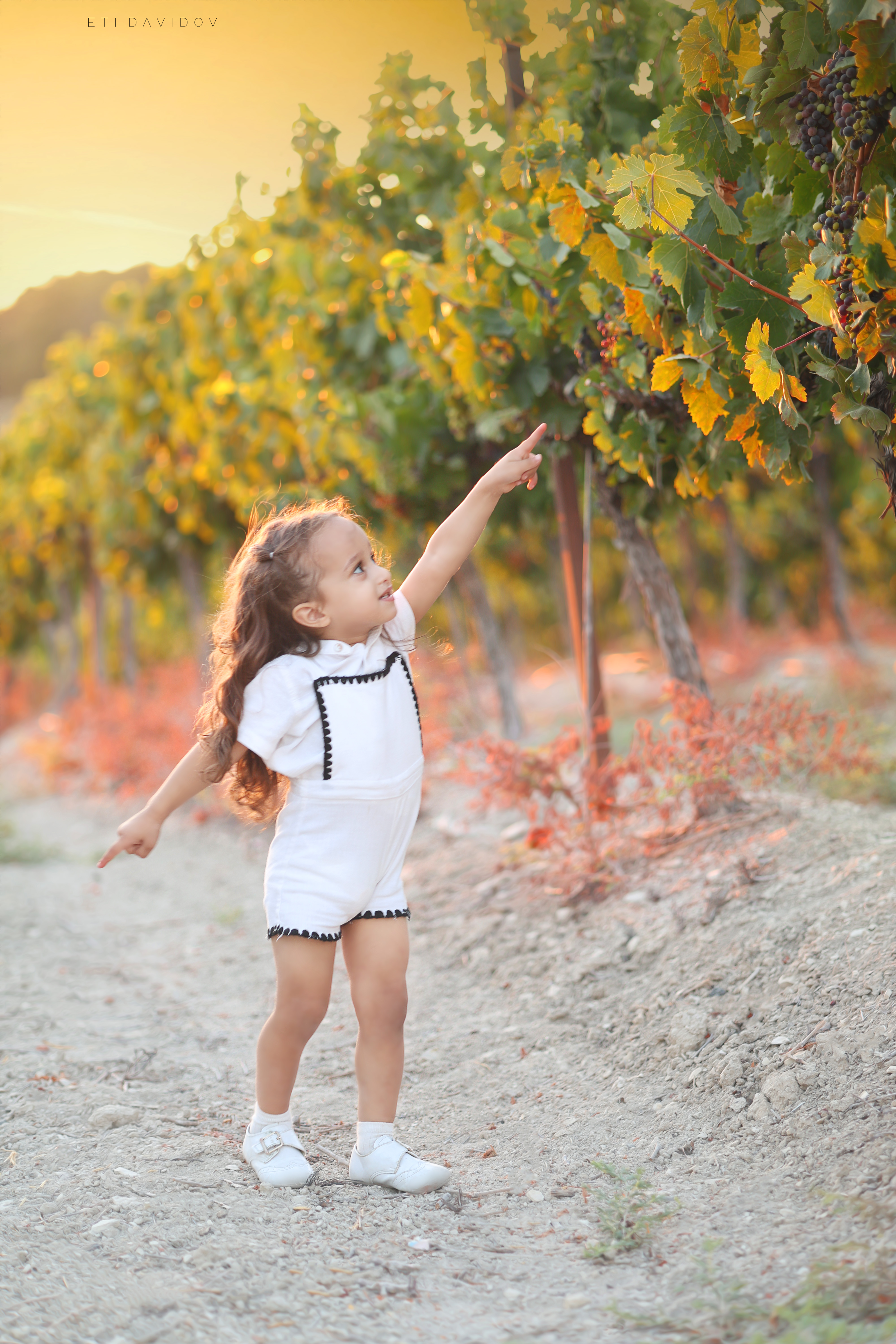 אתי דוידוב 0533188737 (44).png