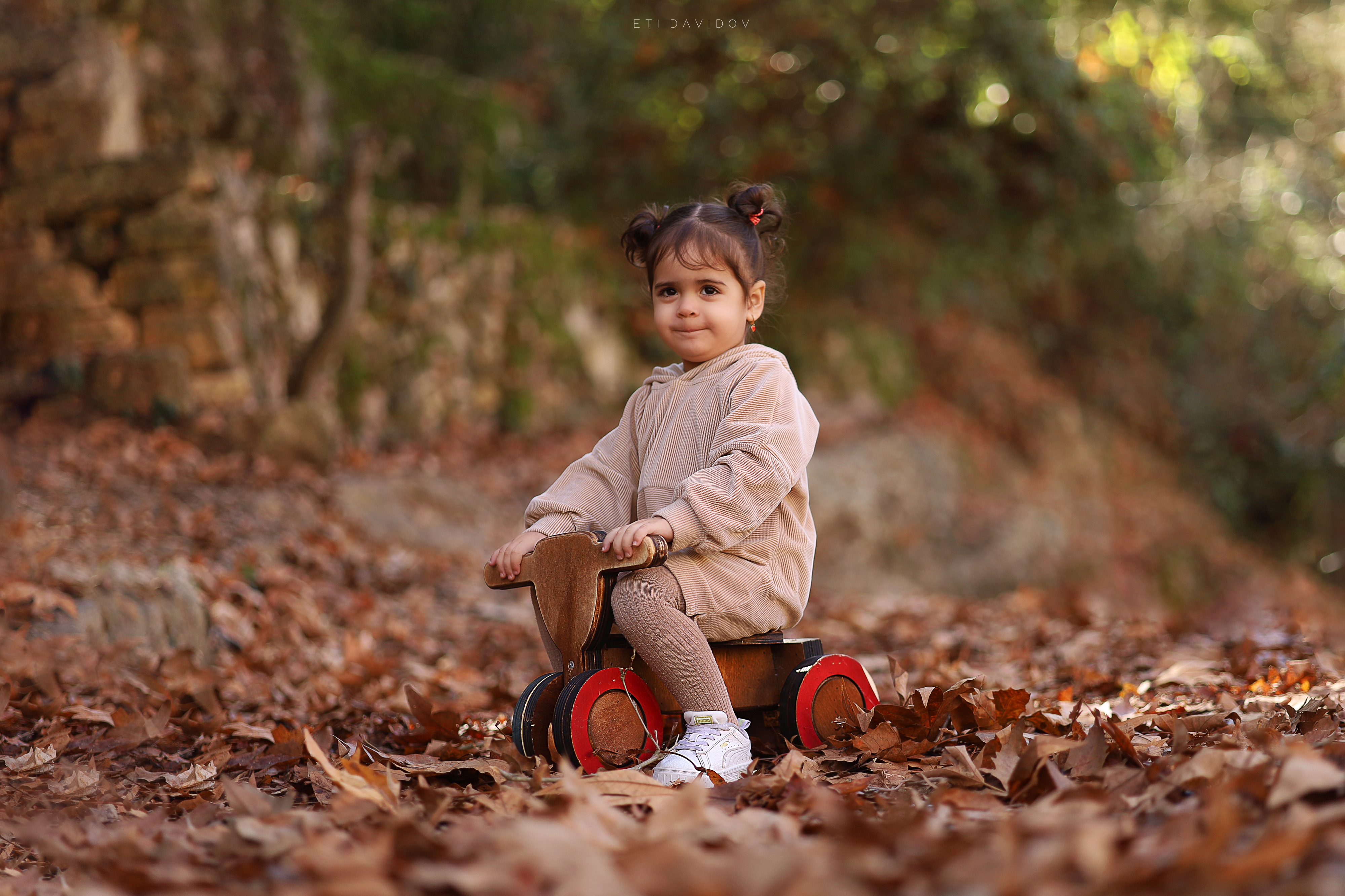 אתי דוידוב 0533188737 (58).png