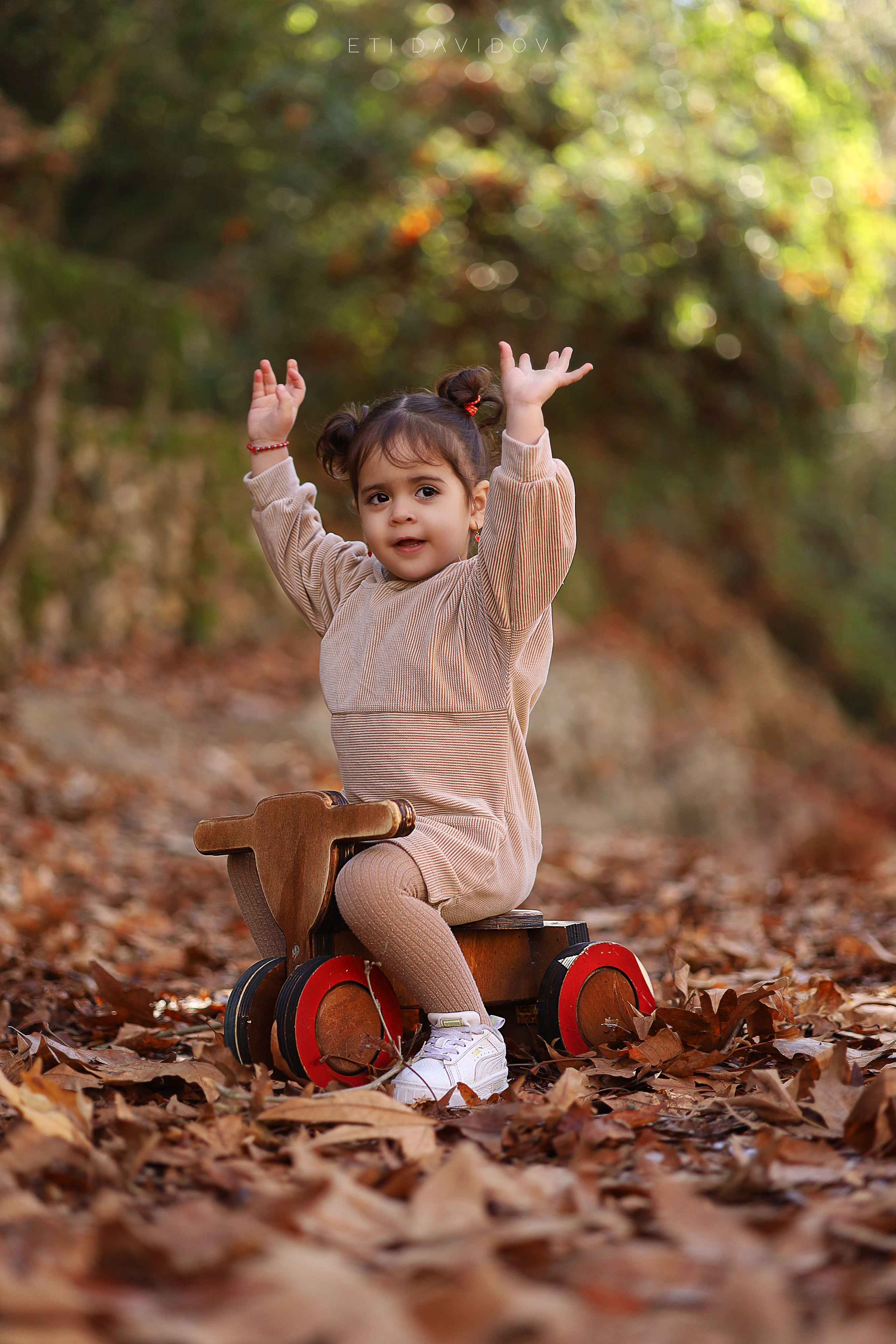 אתי דוידוב 0533188737 (59).png