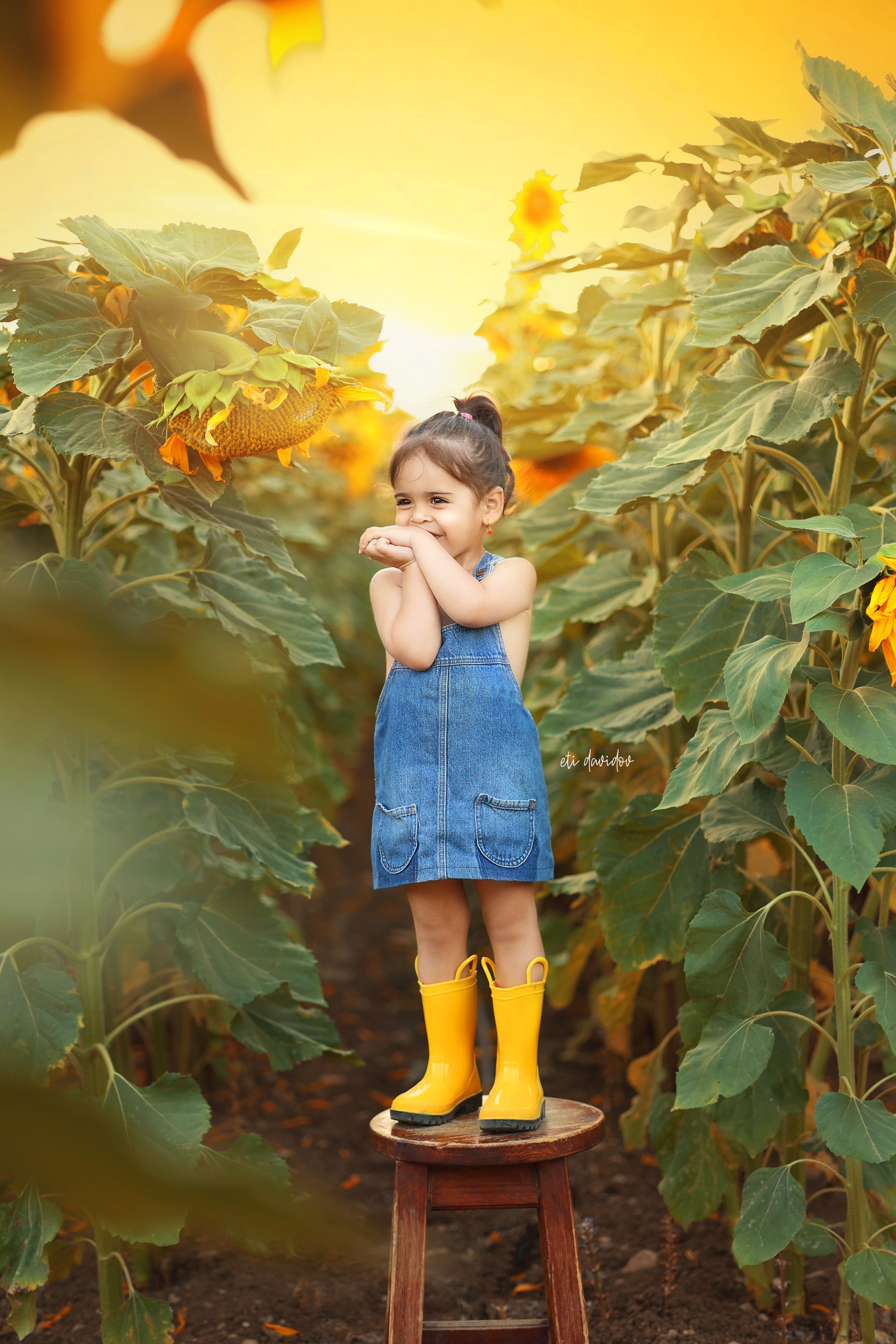 אתי דוידוב 0533188737 (9).jpg