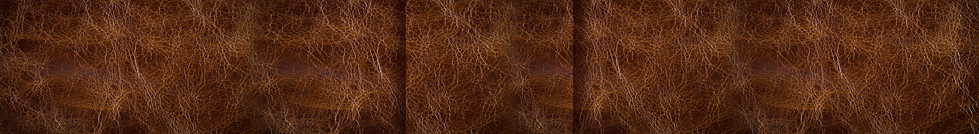 באנר אנימציה.gif