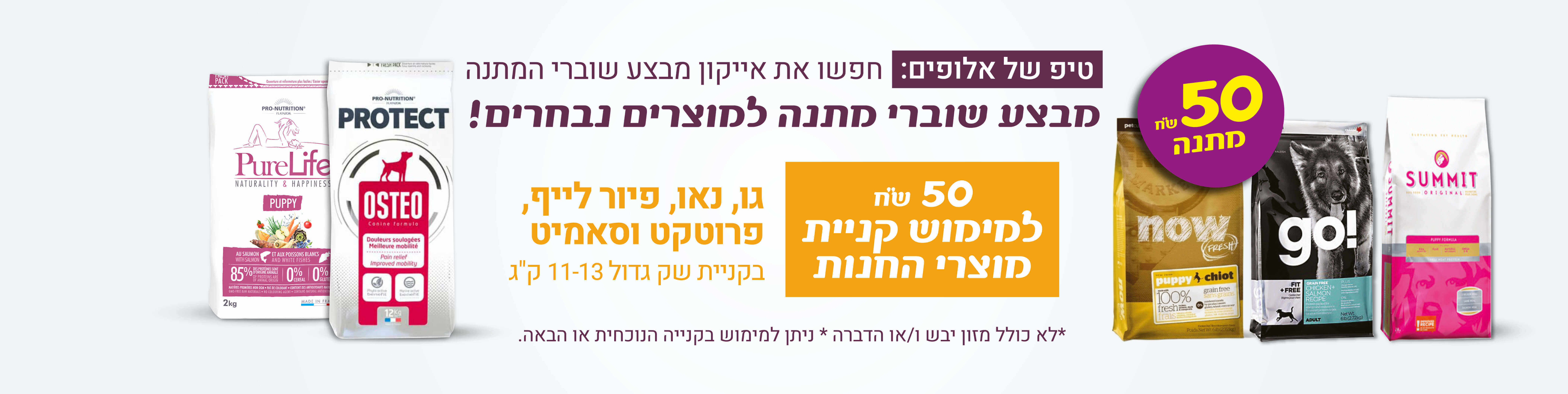 באנר דיגיטלי