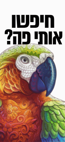 באנר 2א.gif