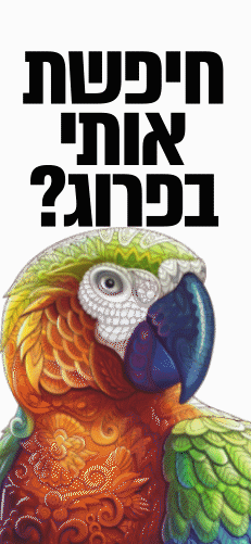 באנר 2ב.gif
