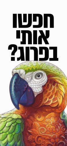 באנר 2ג.gif