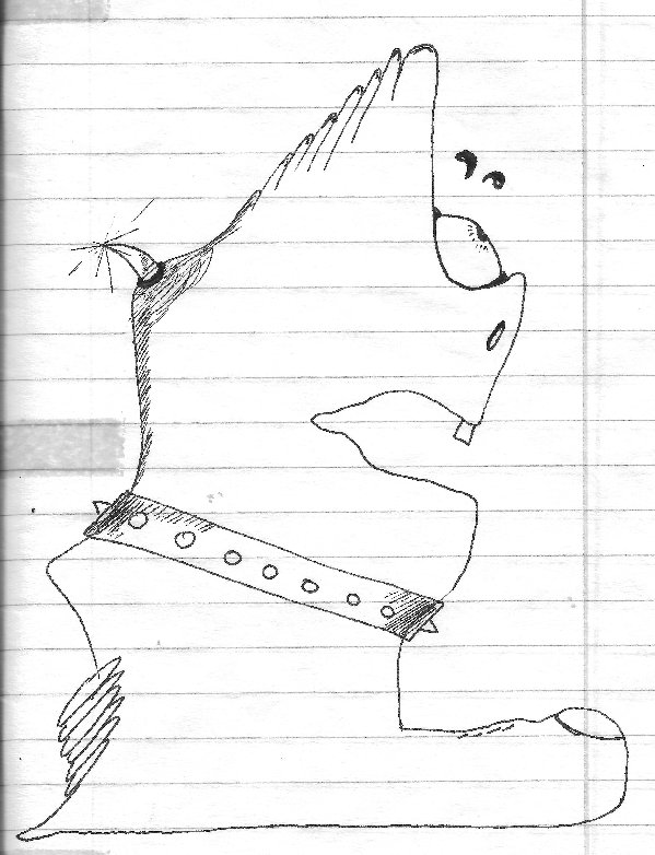 בוהן חודרנית