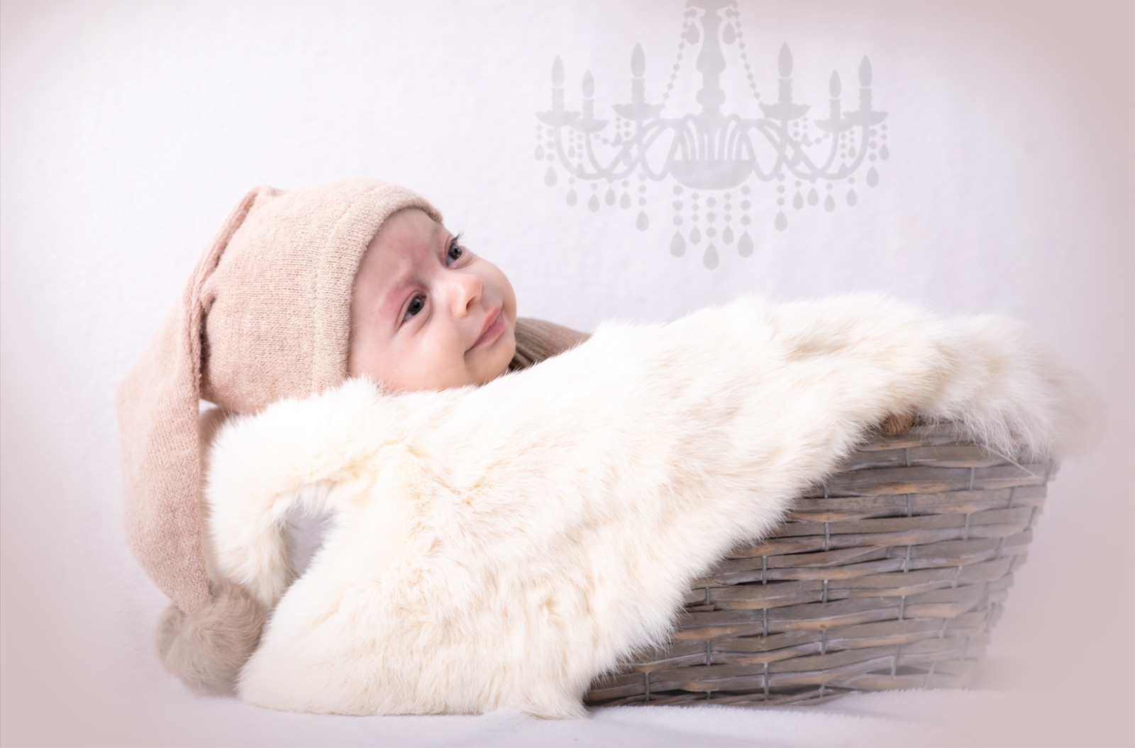 בחור מלכותי ניו בורן דבורה דומשלק