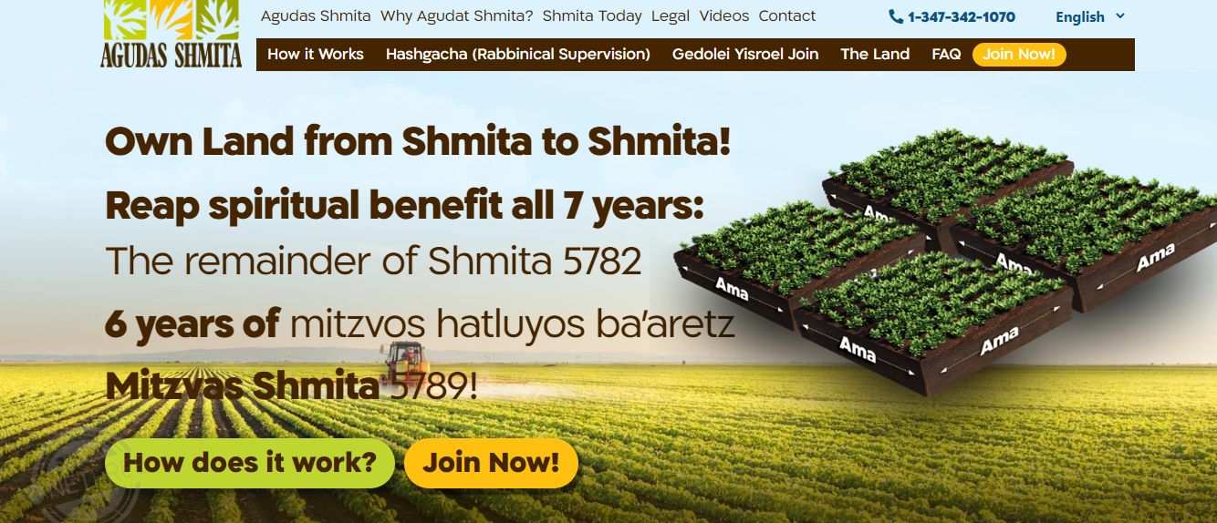 ביאור 2022-06-26 120926.png