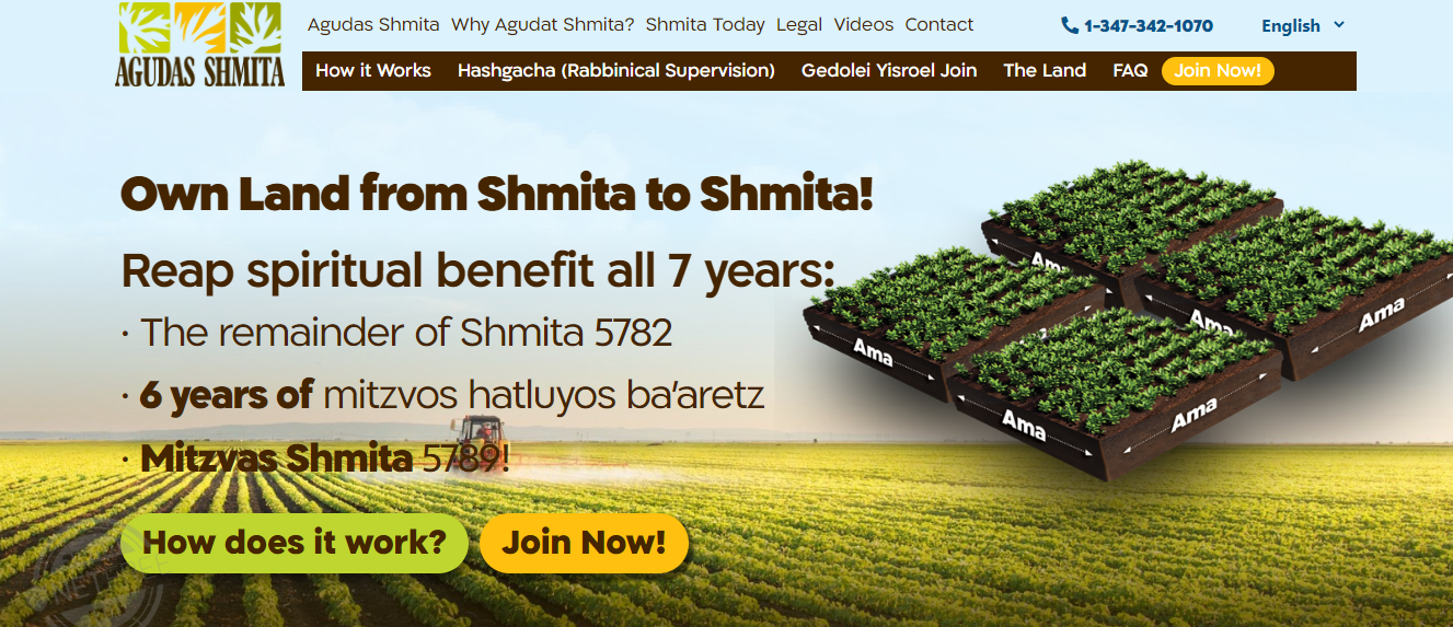 ביאור 2022-07-20 110342.png