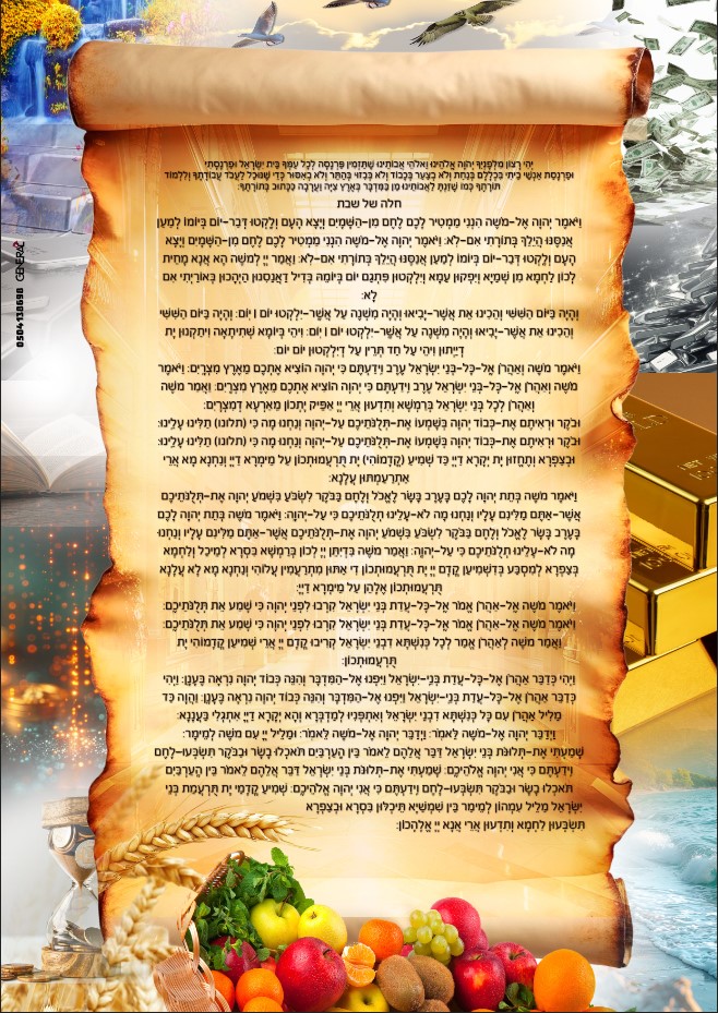 ביאור 2025-07-16 214511.jpg