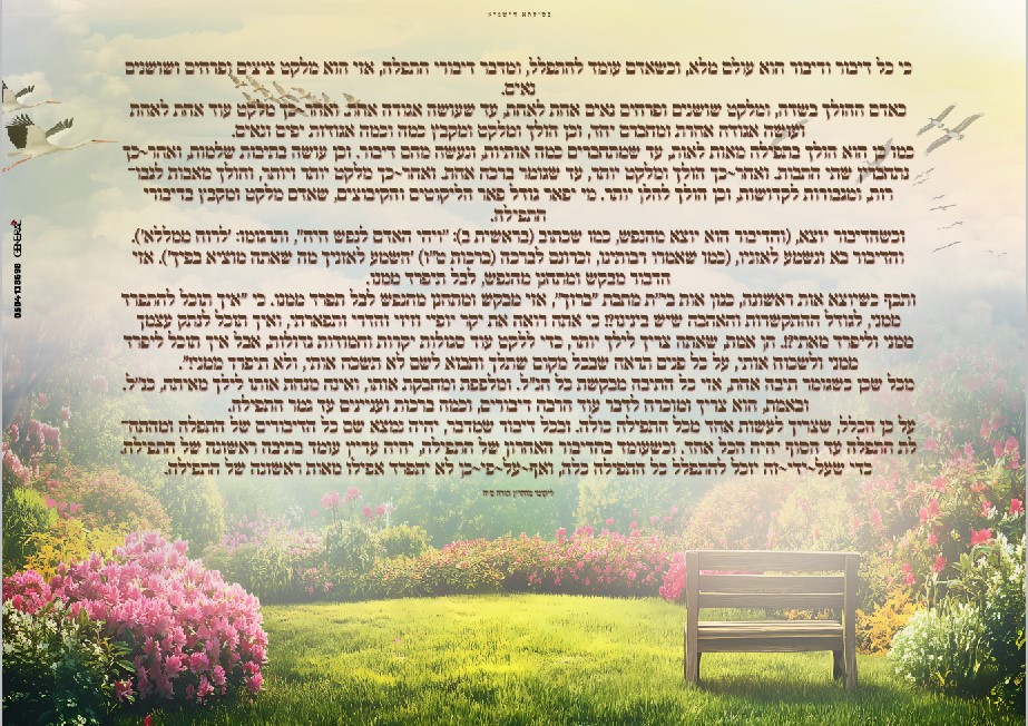 ביאור 2025-07-16 214516.jpg