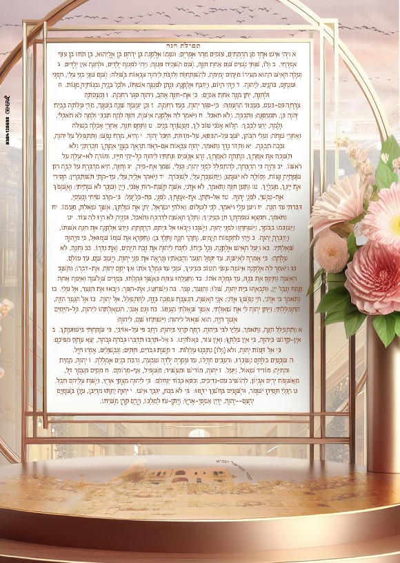 ביאור 2025-07-16 214543.jpg