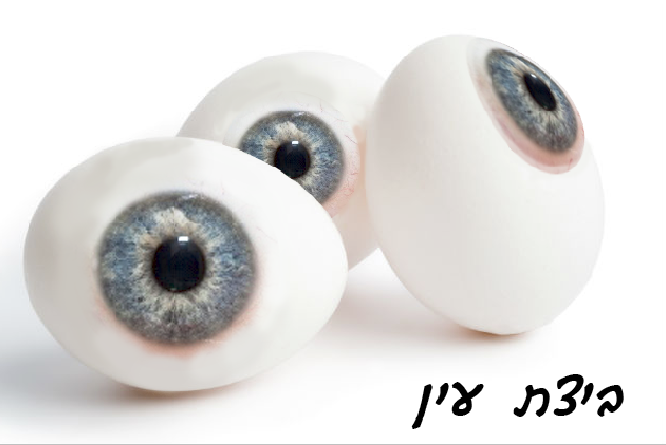 ביצת עין
