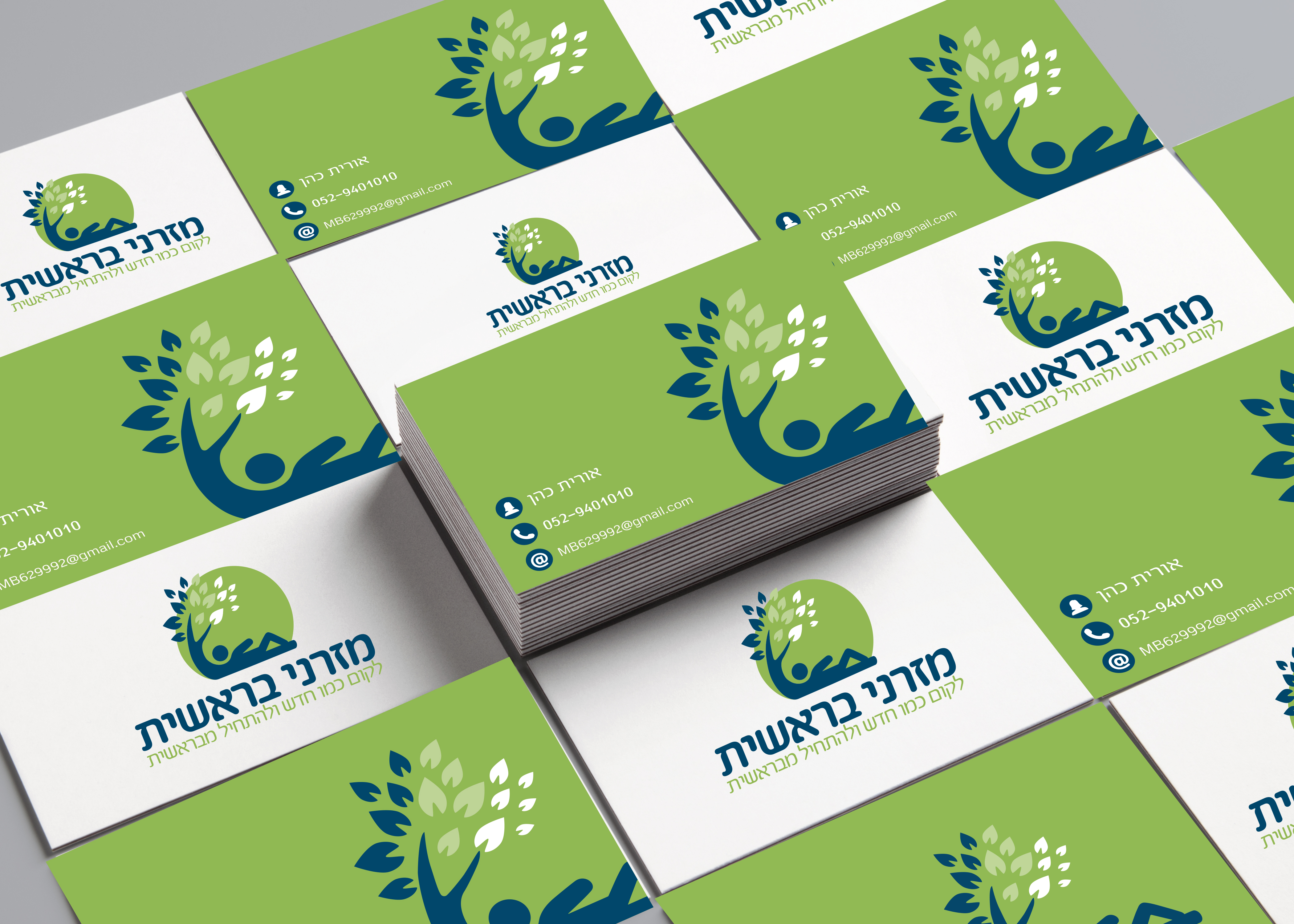 ביקור מזרני בראשית