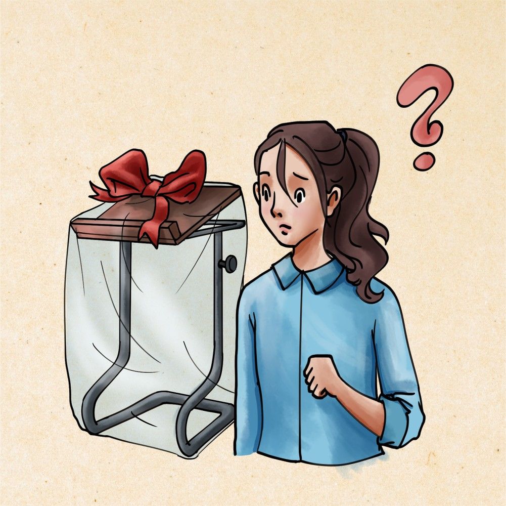 בית של תורה? - איור לתוכנית בסמינר