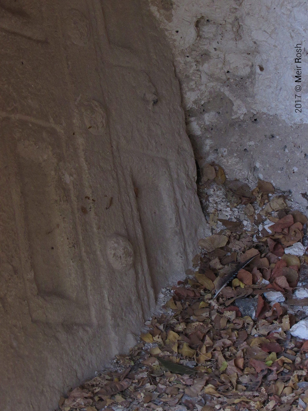 בית שערים (6)