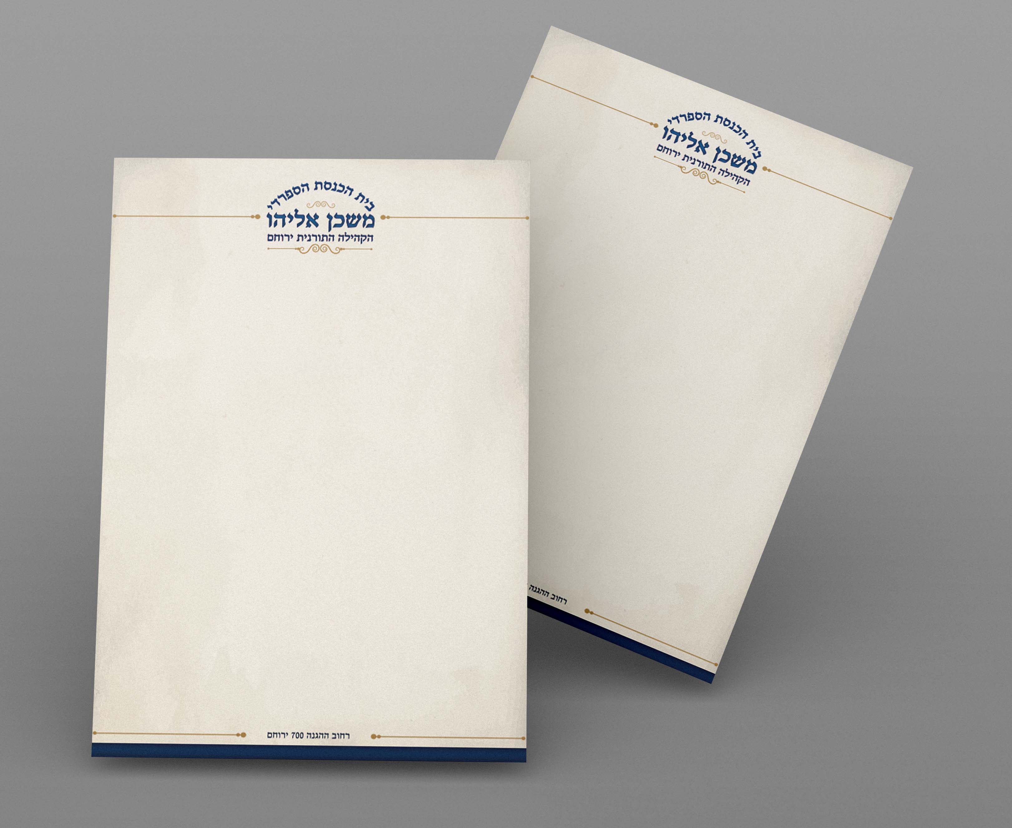 בלנק הדמיה.jpg