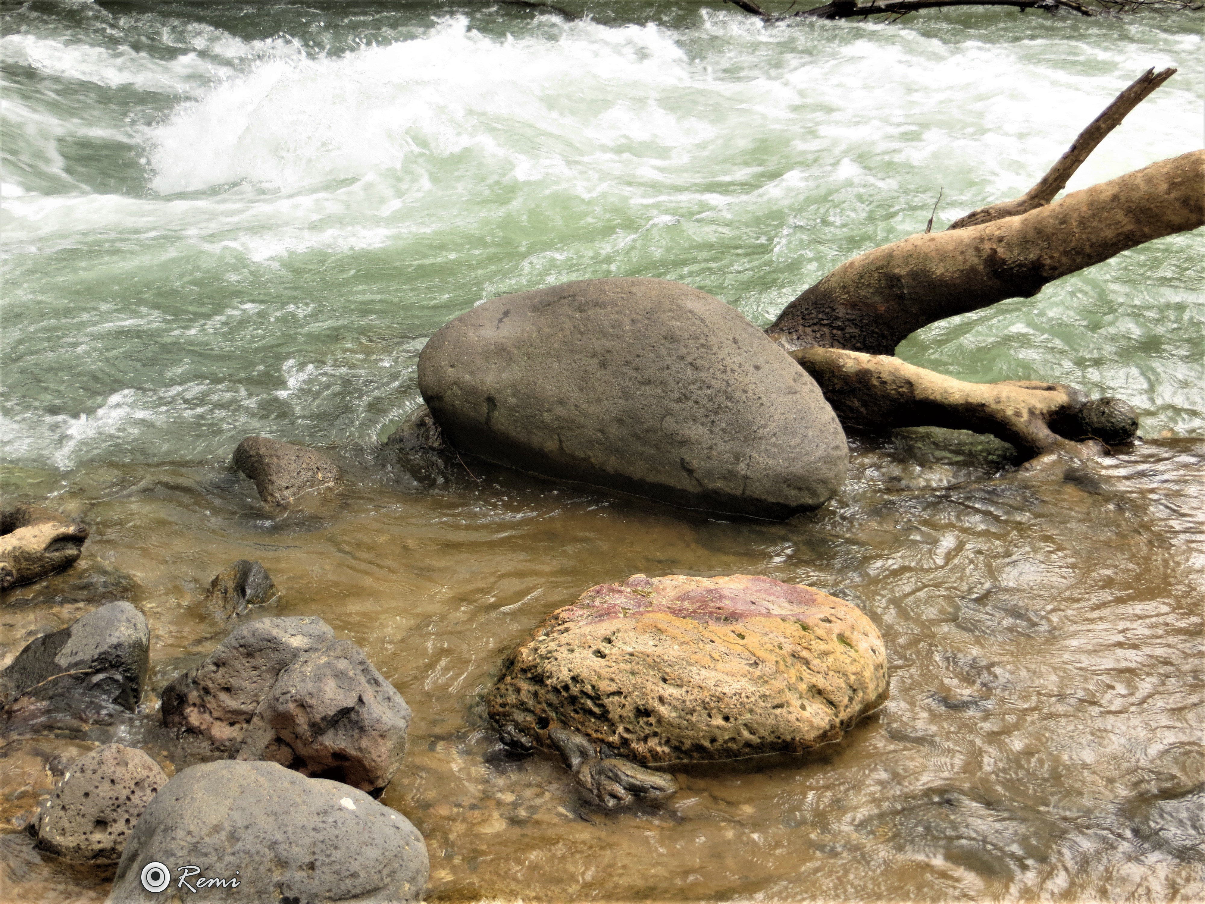 בניאס שוצף בתשע"ט