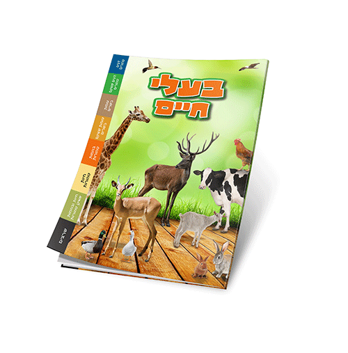 בעלי חיים_קדמי.gif