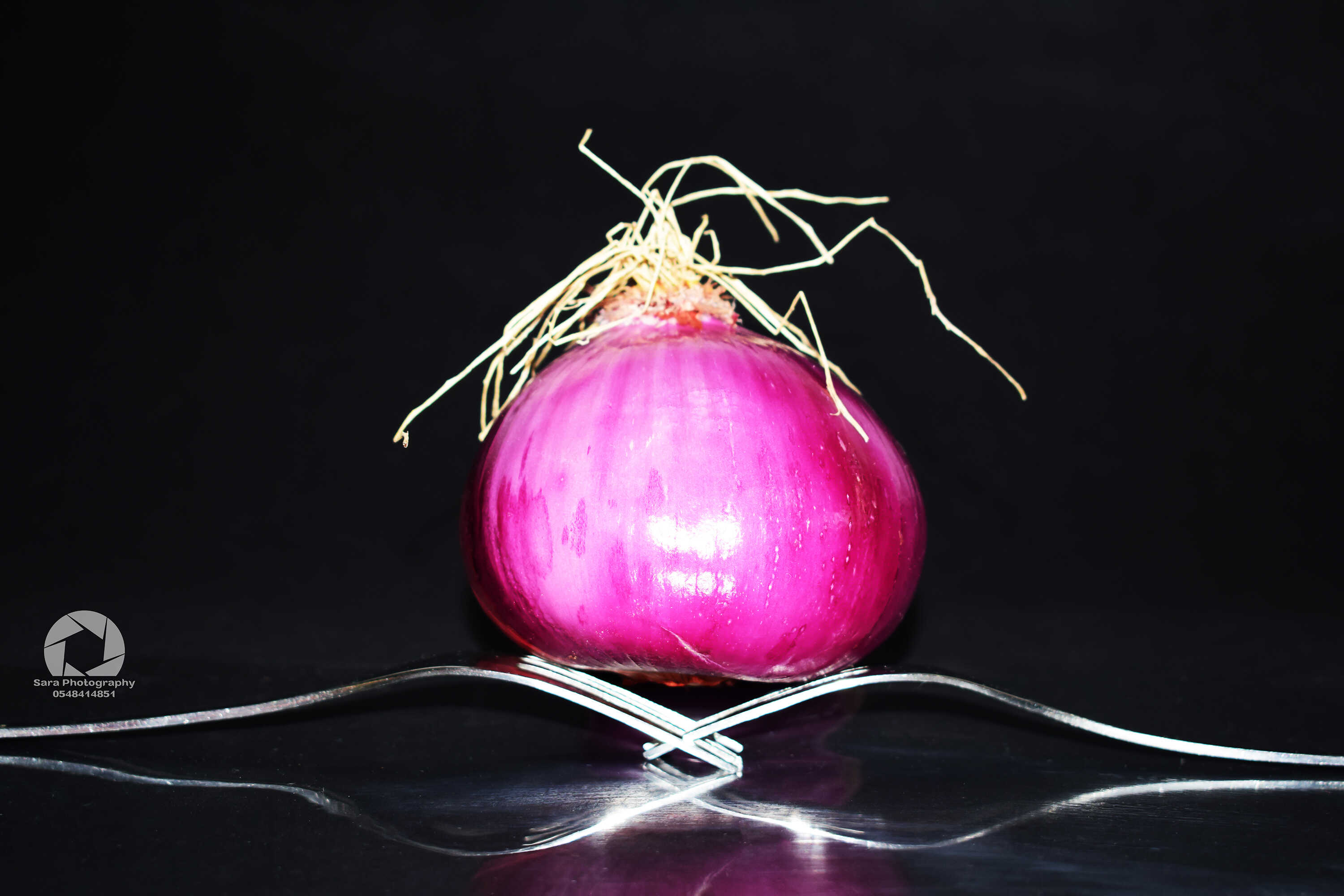 בצל מוקטןן (1).jpg