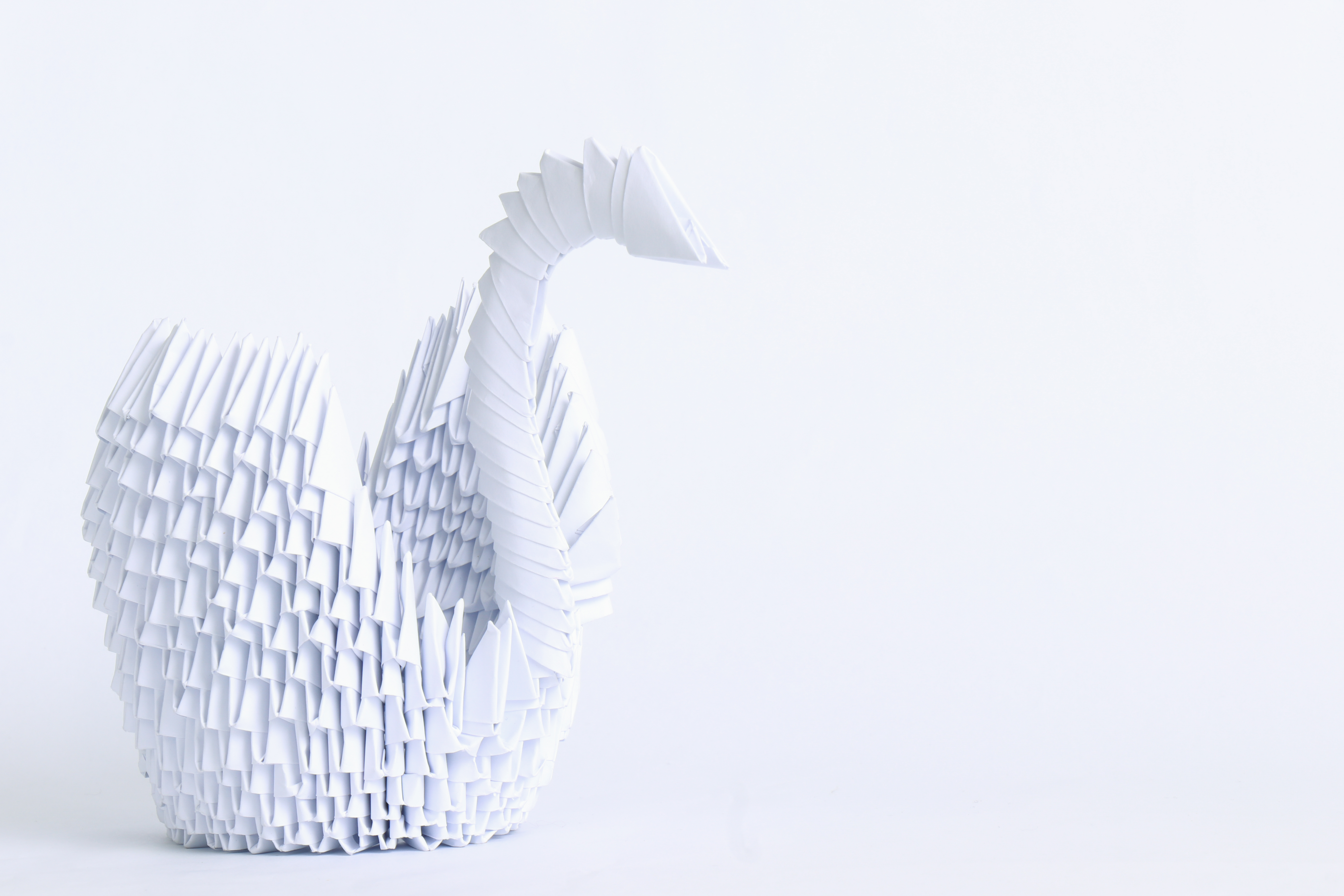 ברבור מנייר