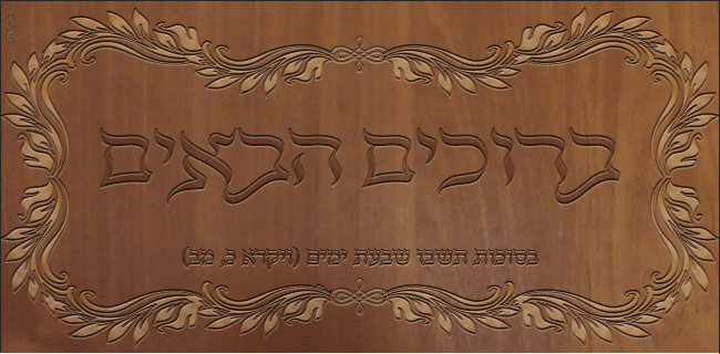 ברוכים הבאים לסוכה.png