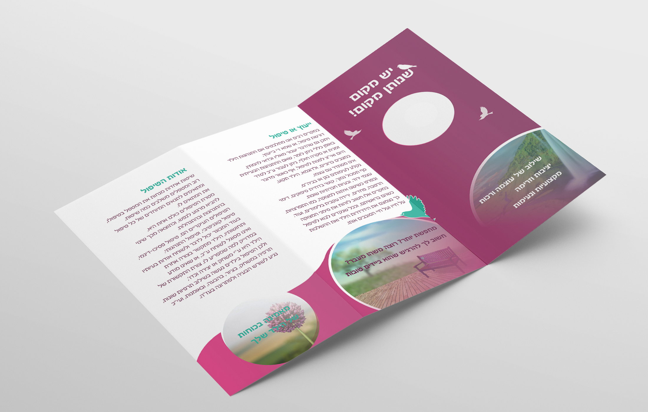 ברושור גולדי מושקוביץ