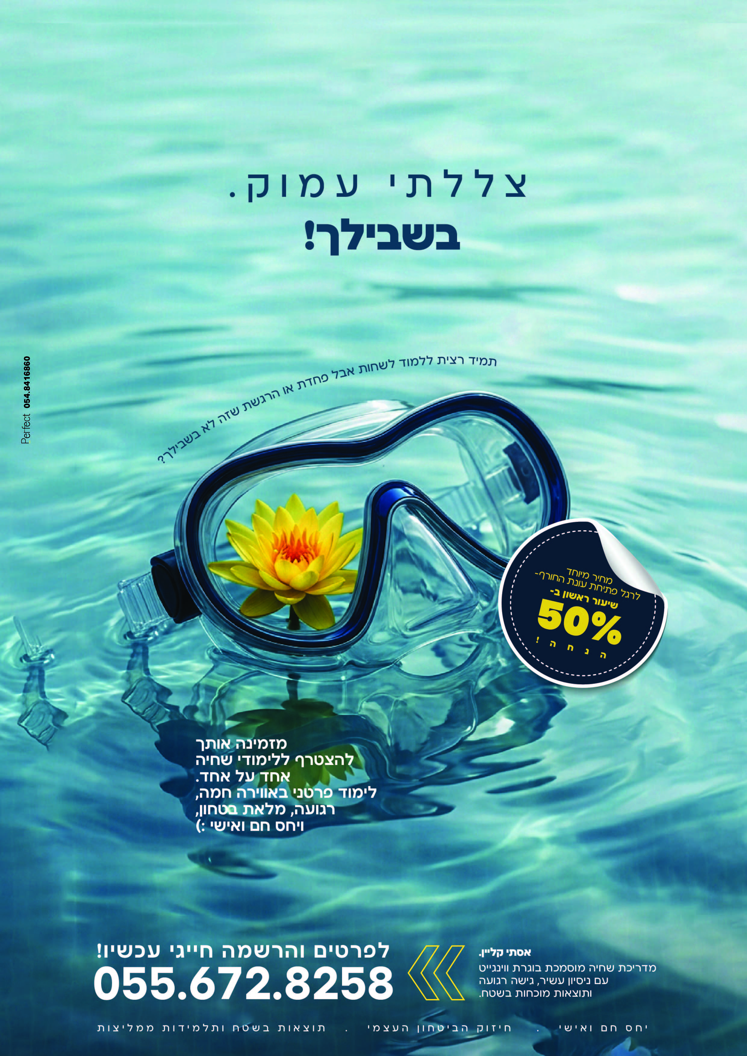 בריכה, מודעה, עיצוב, נקי, ים, מים, פרח, משקפת