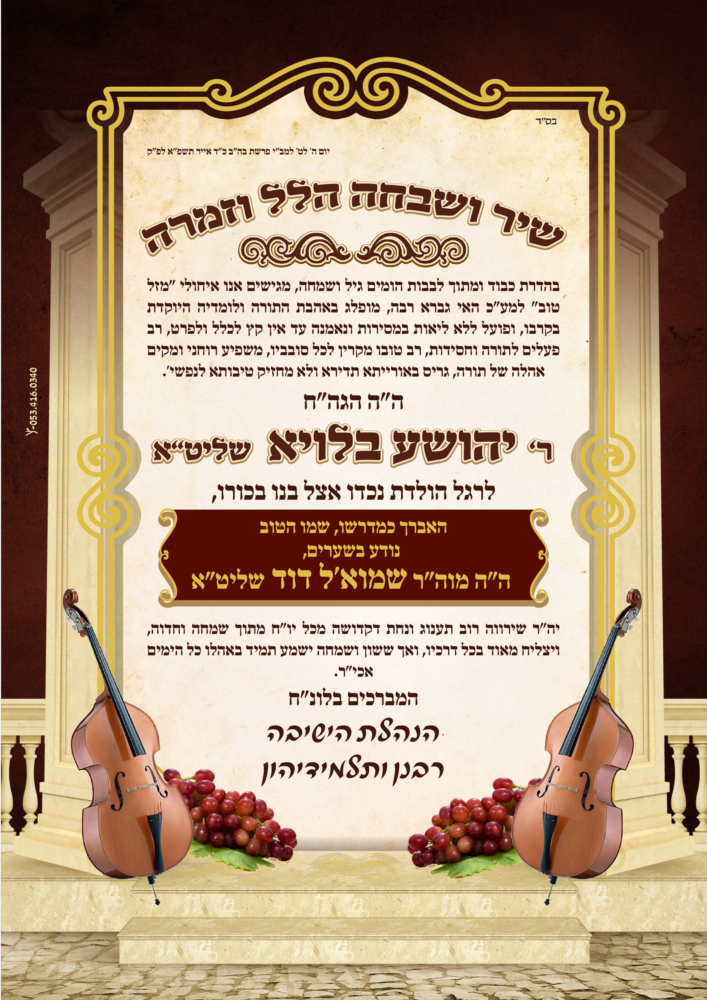 ברכה בלויא.png