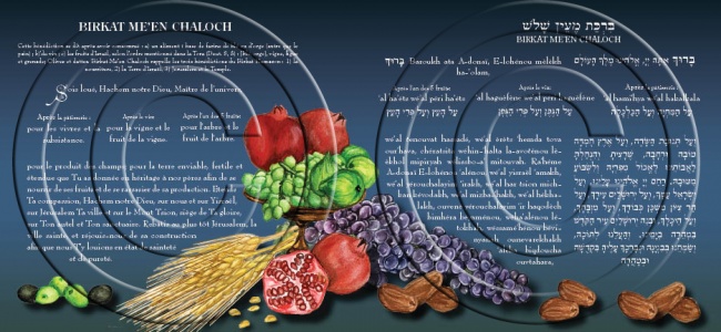 ברכת המזון16