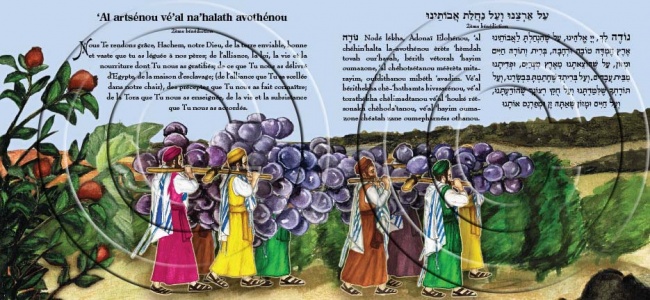 ברכת המזון6