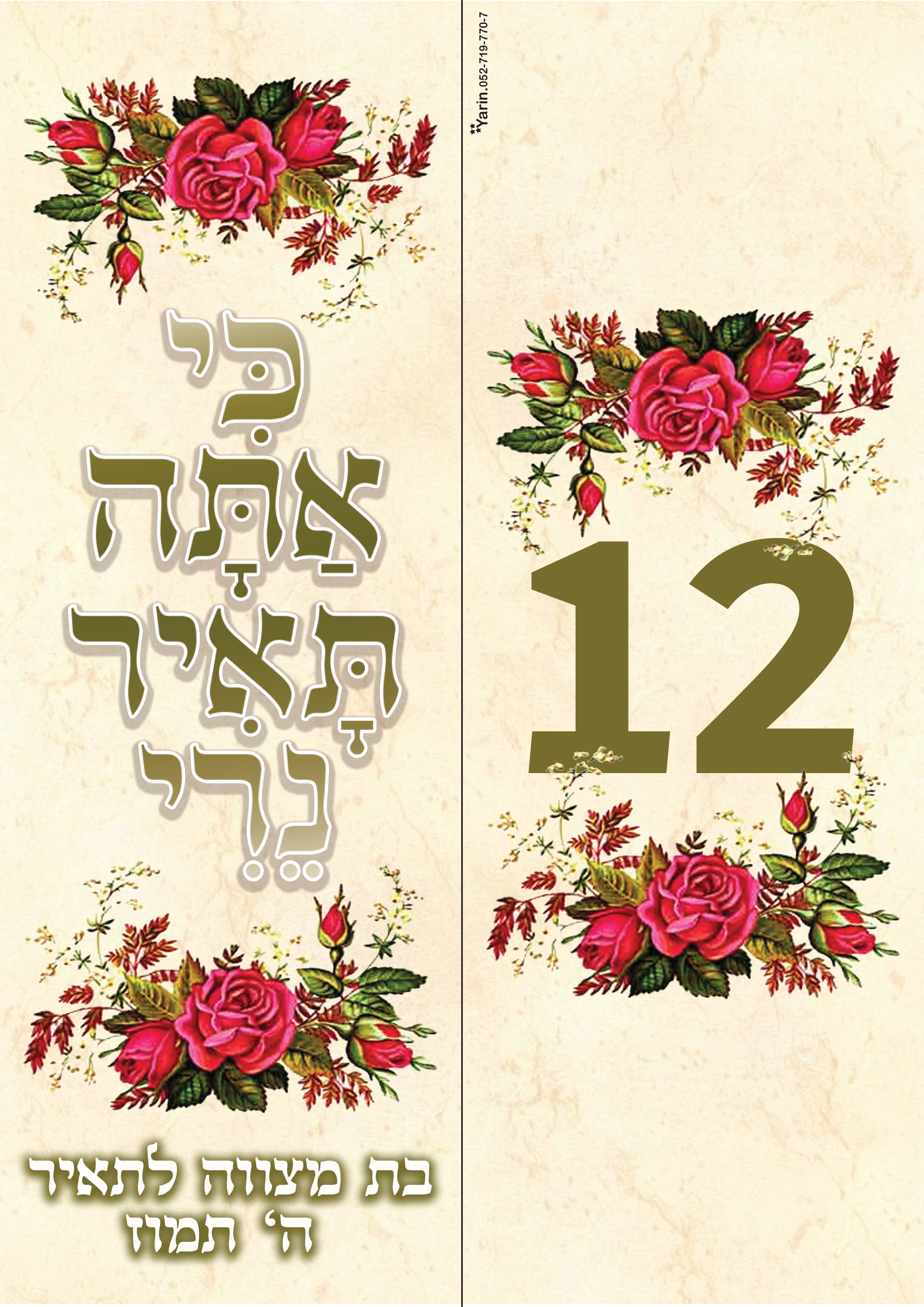 בת מצווה תאיר