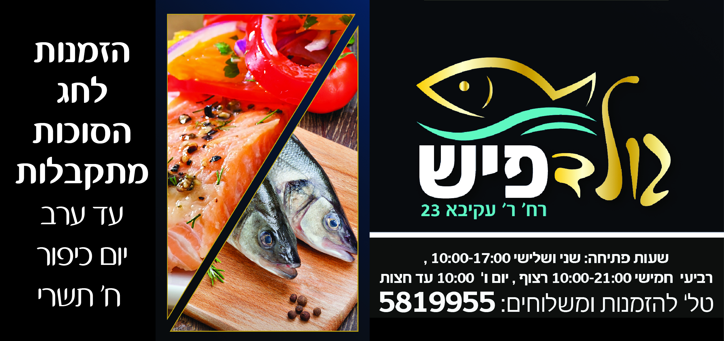 גולד פיש טיזר-01