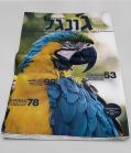 גונגל-מגזין.jpg