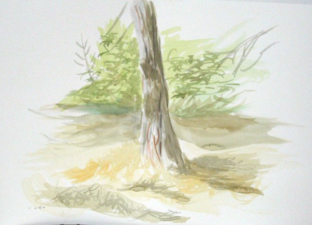 גזע.
אהבתי גדולה לעצים.