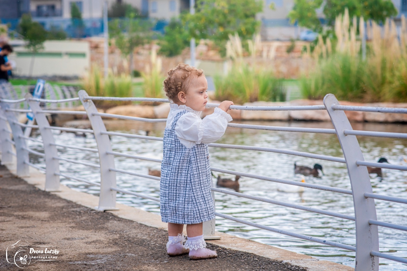 גיל שנה המתוק 3 | לוצקי דבורה צלמת