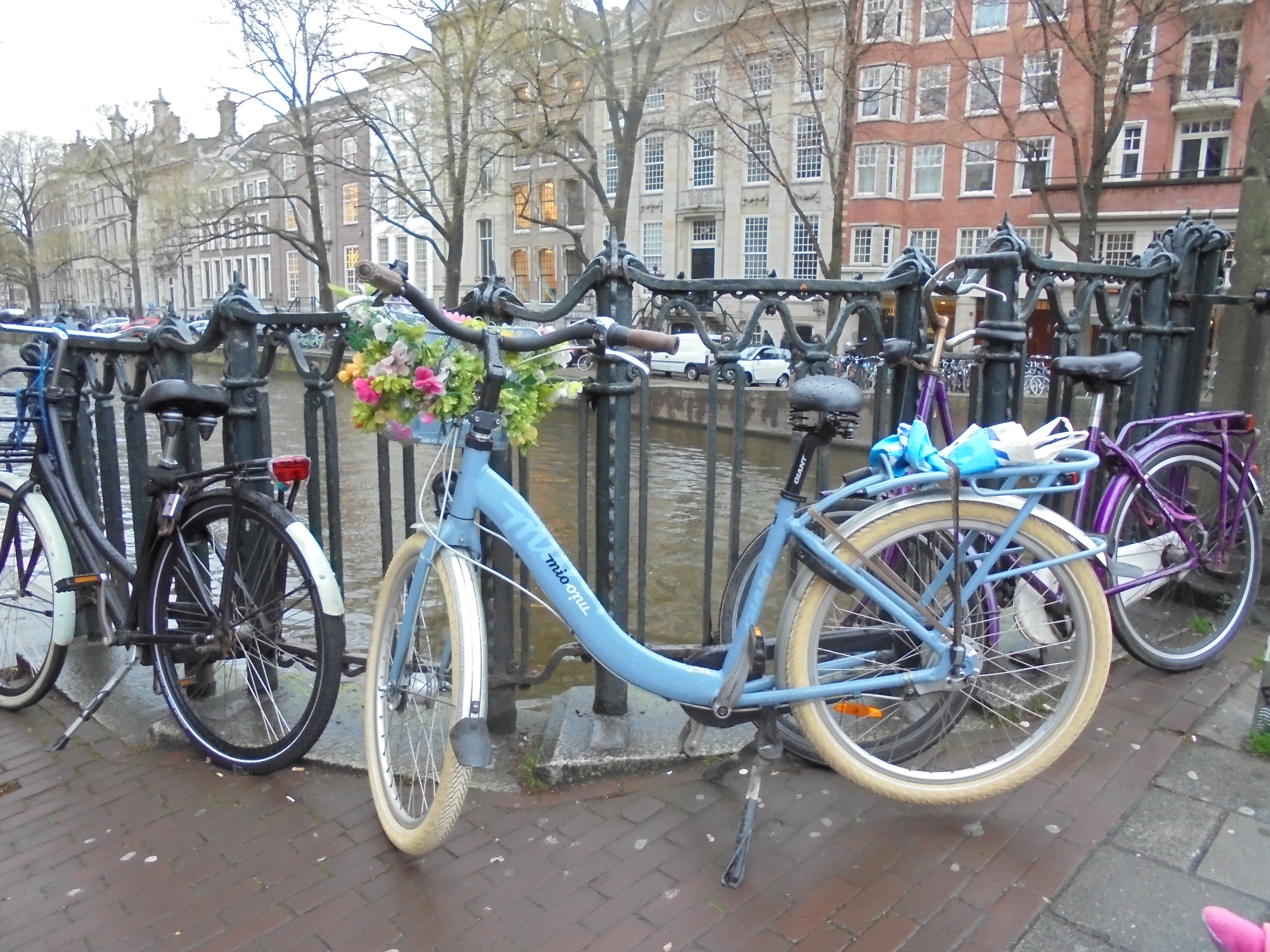 גלויה הולנדית באמסטרדם