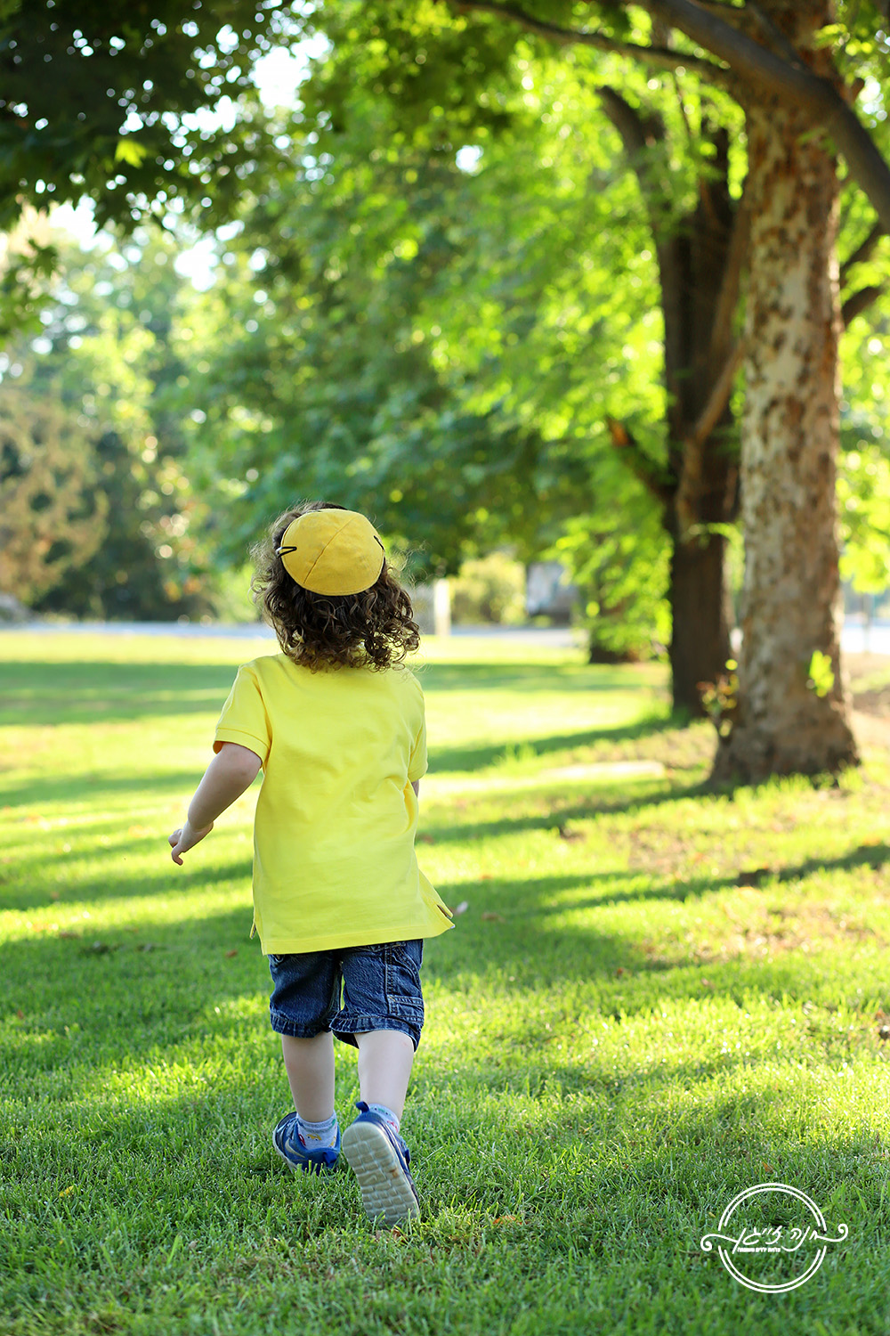 גלינצשטיין (137).jpg