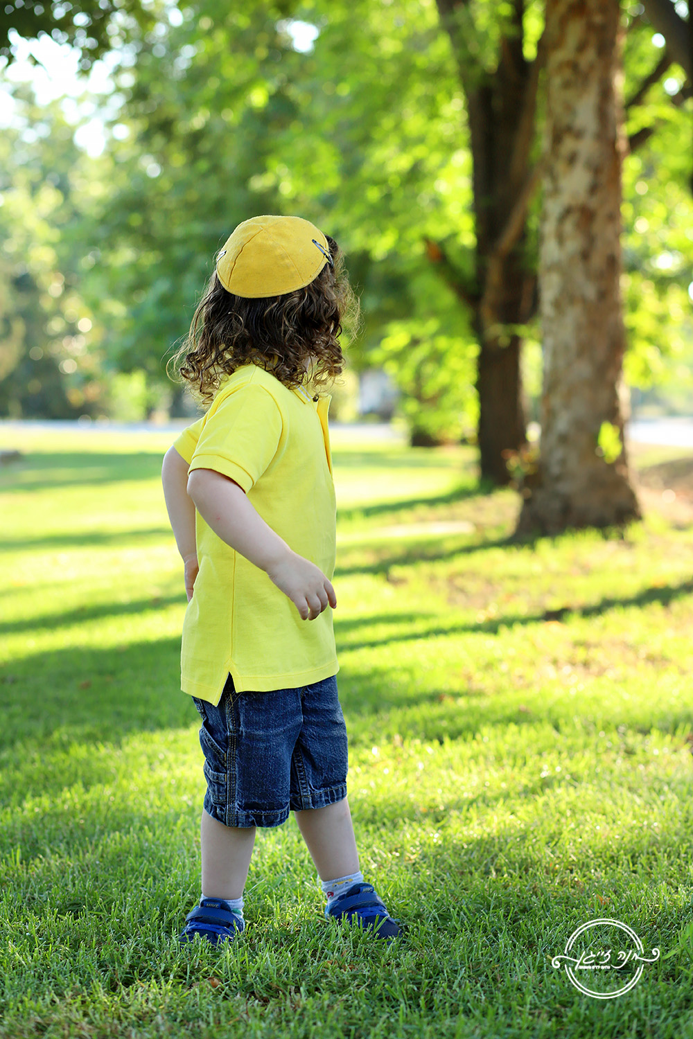 גלינצשטיין (157).jpg