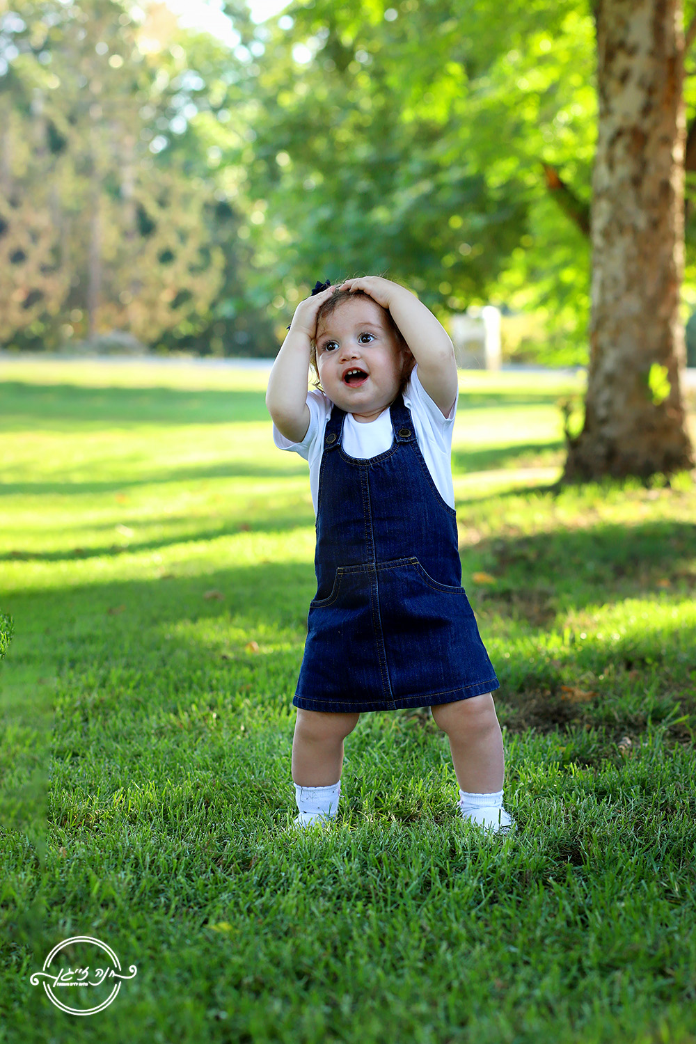 גלינצשטיין (48).jpg