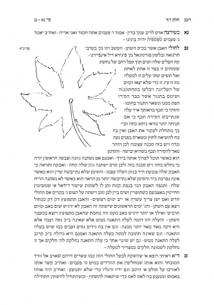 גלישה סביב ציור