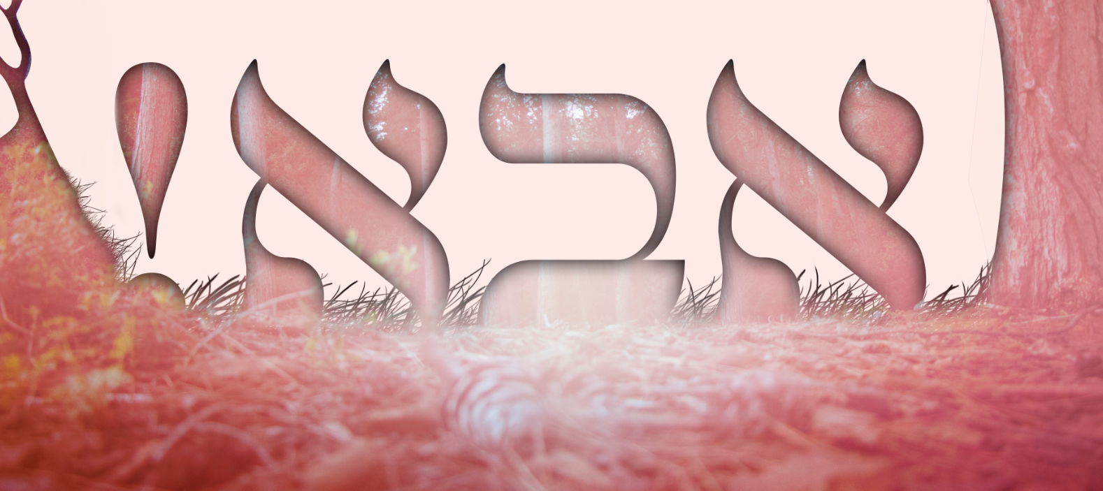 גרפיקה אמנותית