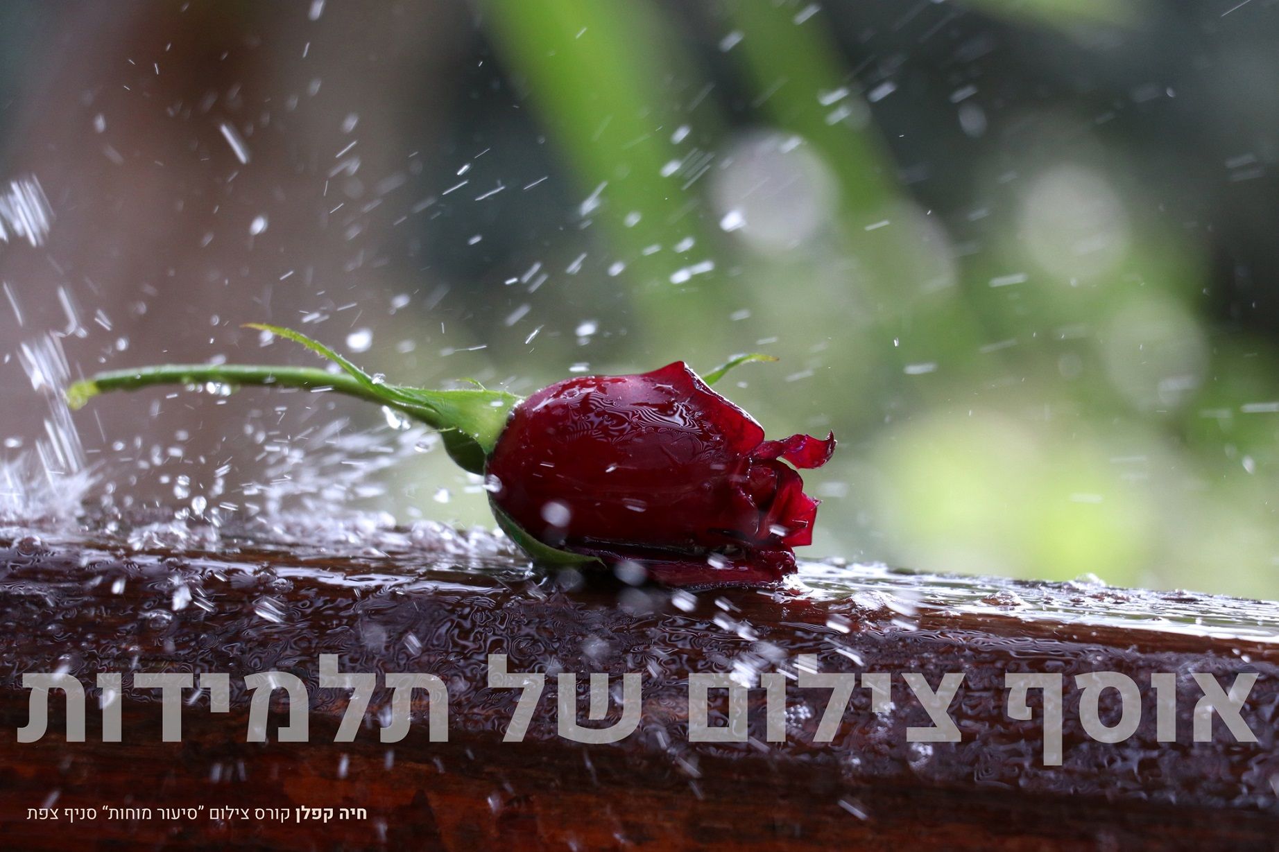 גשם ~  עבודת גמר צילום - חיה ק (3).jpg