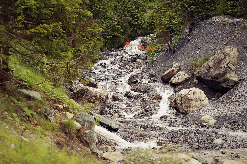 דאבוס ע"ז IMG_3995